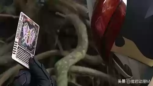 幽魂刺客阵容最强搭配图片(最强刺客)