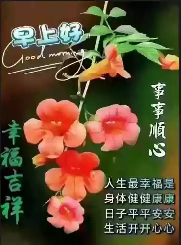 早安物语推荐阵容搭配攻略(心力物语最强阵容)插图27