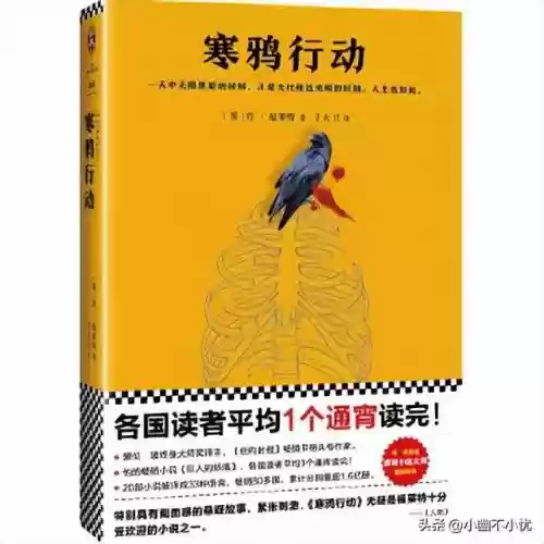 寒鸦最新搭配阵容图片女装(暖雪最强流派搭配图)插图
