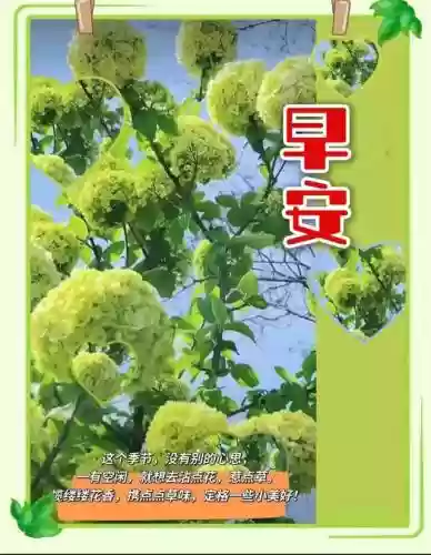 早安物语推荐阵容搭配攻略(心力物语最强阵容)插图6