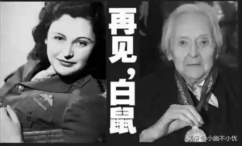 寒鸦最新搭配阵容图片女装(暖雪最强流派搭配图)插图5