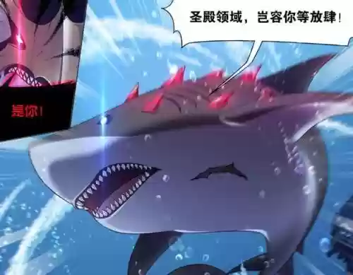 小白唐昊阵容搭配图片(斗罗大陆阵容搭配)插图1