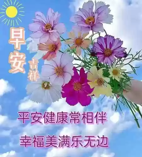 早安物语推荐阵容搭配攻略(心力物语最强阵容)插图