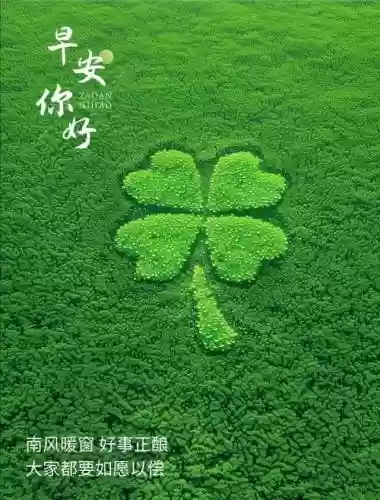 早安物语推荐阵容搭配攻略(心力物语最强阵容)插图21