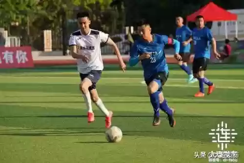 新赛季大连阵容装备搭配(新版本最强阵容)插图7