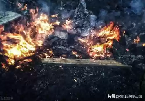 张宝进击物语阵容搭配攻略(食物语平民推图最强阵容)插图3