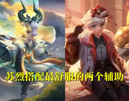 苏烈配合阵容怎么搭配(打苏烈用什么英雄好)插图4
