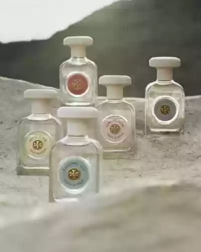 阴阳师最馥郁气息阵容(阴阳师最强阵容搭配)插图6