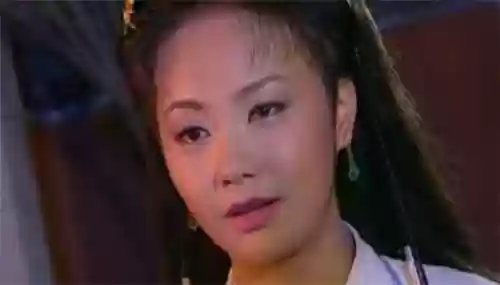 西游记后传的演员阵容介绍(西游记后传全部演员表)插图16