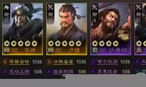 三棋华雄阵容搭配插图