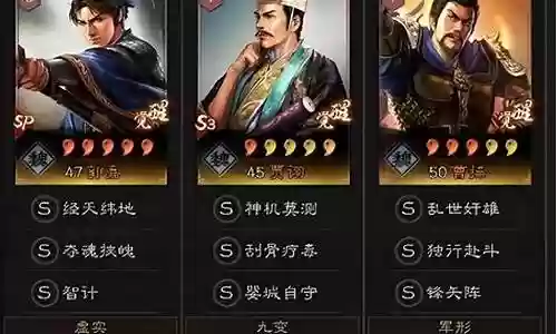 sp狮子搭配什么阵容插图