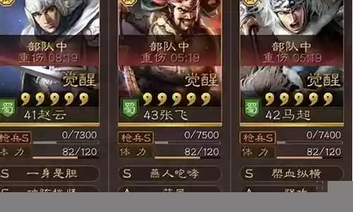 赵云不同阵容搭配图片插图