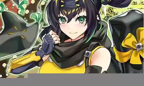 sp鸟阵容搭配