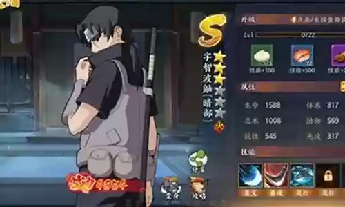 暗部鼬阵容搭配