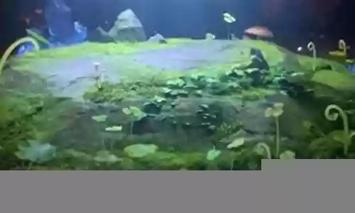 熊猫对战阵容搭配插图