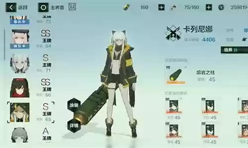 白毛战区阵容搭配