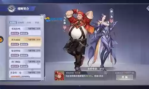 悬赏猫阵容速度搭配插图
