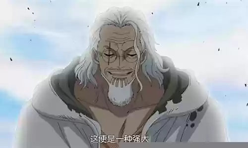 冥王雷利怎么搭配阵容