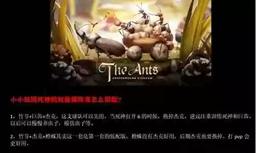 死神蚁搭配阵容