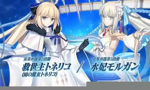 fgo自由本阵容搭配插图