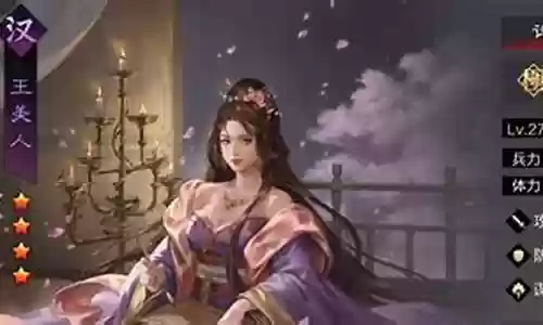 王美人阵容搭配