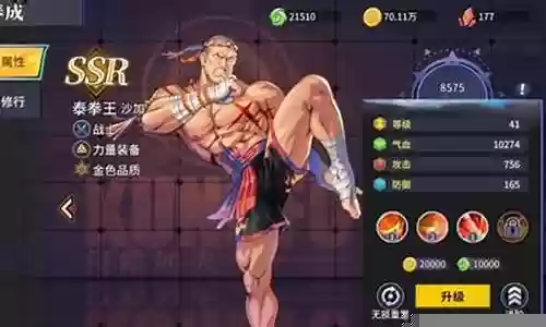 泰拳防身推荐阵容搭配插图
