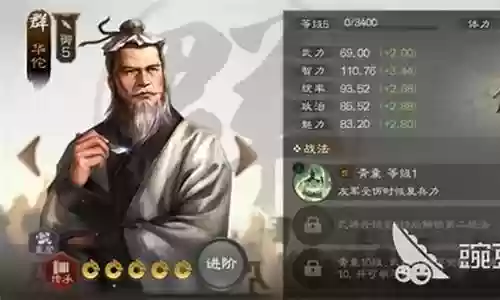 打华佗阵容搭配什么插图