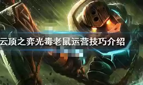 毒老鼠阵容搭配