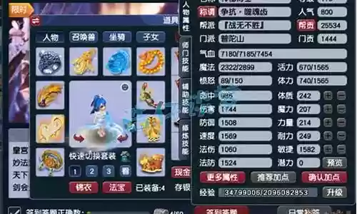 175单普陀阵容搭配插图