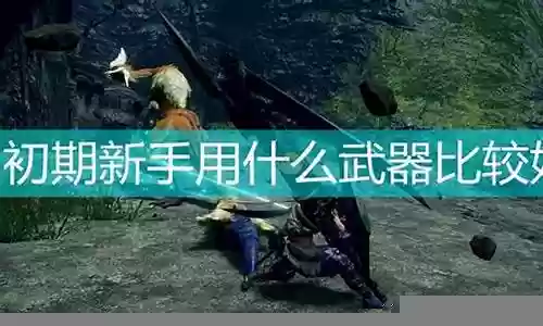 崛起 新手 武器搭配阵容插图