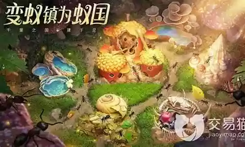 小小蚁国阵容搭配表插图