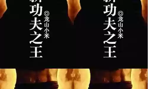 新功夫之王阵容搭配图插图