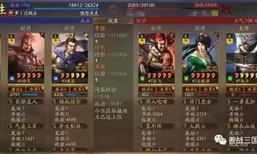 虎卫军的阵容搭配图插图