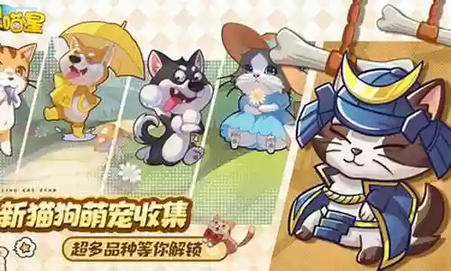 动物之星最强阵容搭配推荐插图