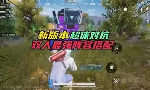 双人超体阵容搭配图插图