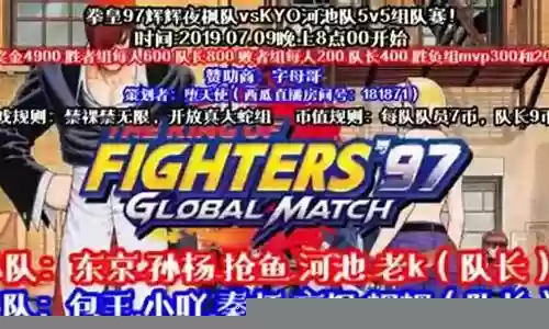 拳皇亚洲冠军阵容搭配表插图