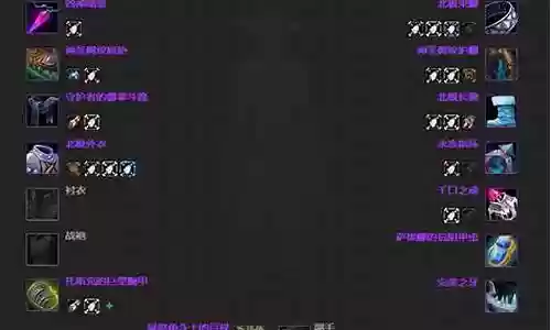 6.2熊t装备bis插图