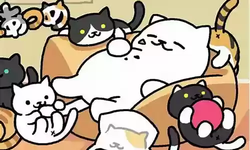 neko atsume攻略插图