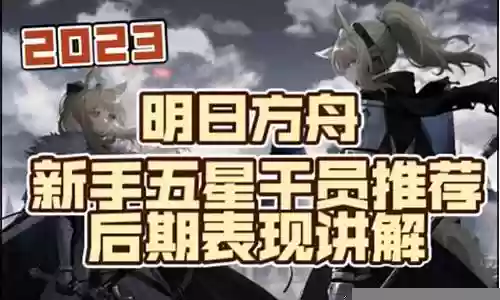 新手a忍搭配什么阵容插图