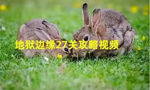 地狱边缘27关攻略插图