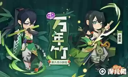 新万年竹阵容搭配插图