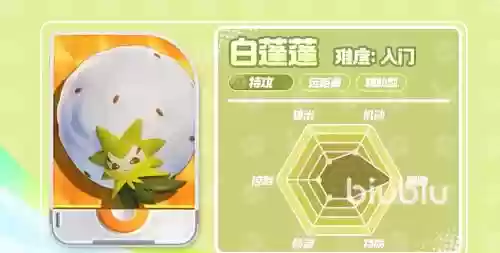 白蓬蓬阵容插图1