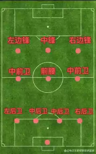 433阵容排位插图