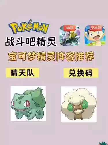 宝主阵容插图1