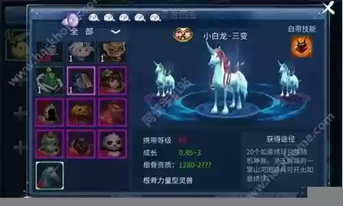倩女手游怎么得灵兽技能插图