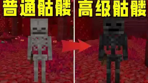 我的世界凋零骷髅攻略插图1