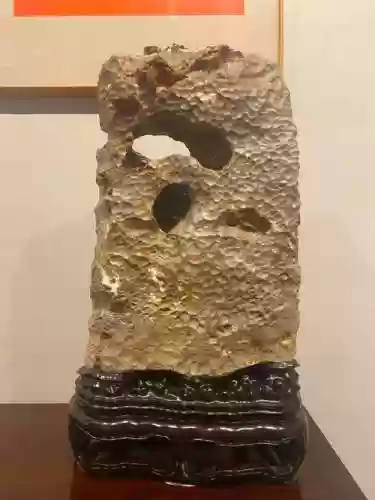 奇石阵容插图