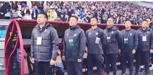 酝酿阵容插图