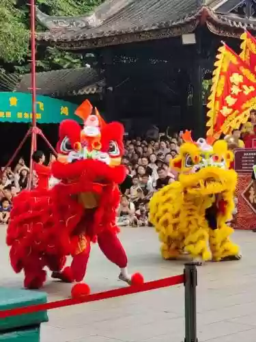 舞狮摆阵容插图