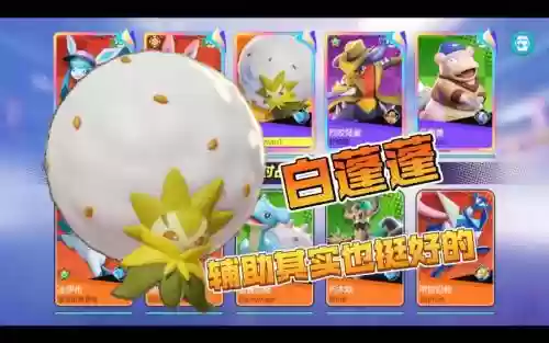白蓬蓬阵容插图